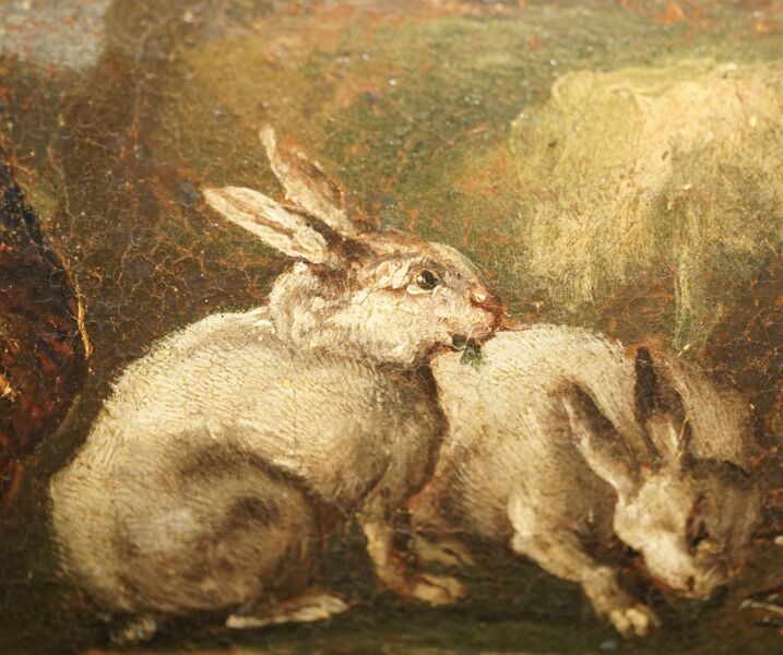 sonntagsspaziergang-auf-tiersafari