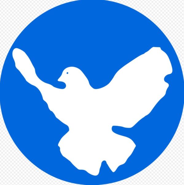 schulstreik-gegen-wehrpflicht-und-european-peace-project