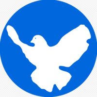 Schulstreik gegen Wehrpflicht und European Peace Project