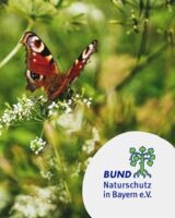 Schmetterlingsfreundliche Gärten – Vielfalt erleben und gestalten - Woche der Umweltstationen