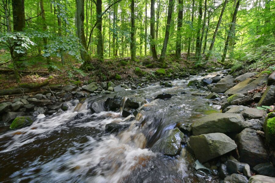 wasser-unser-kostbarstes-gut-wie-der-klimawandel-unsere-rhoner-quellen-und-bache-verandert