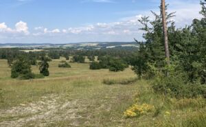 Natur trifft Digital: die realen und virtuellen Arbeitswelten eines Digitalrangers