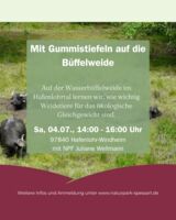 Mit Gummistiefeln auf die Büffelweide