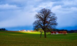 Hofübergabe-Seminar