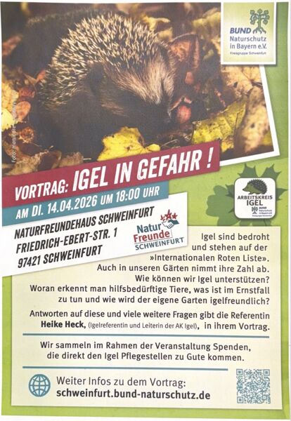 igel-in-gefahr