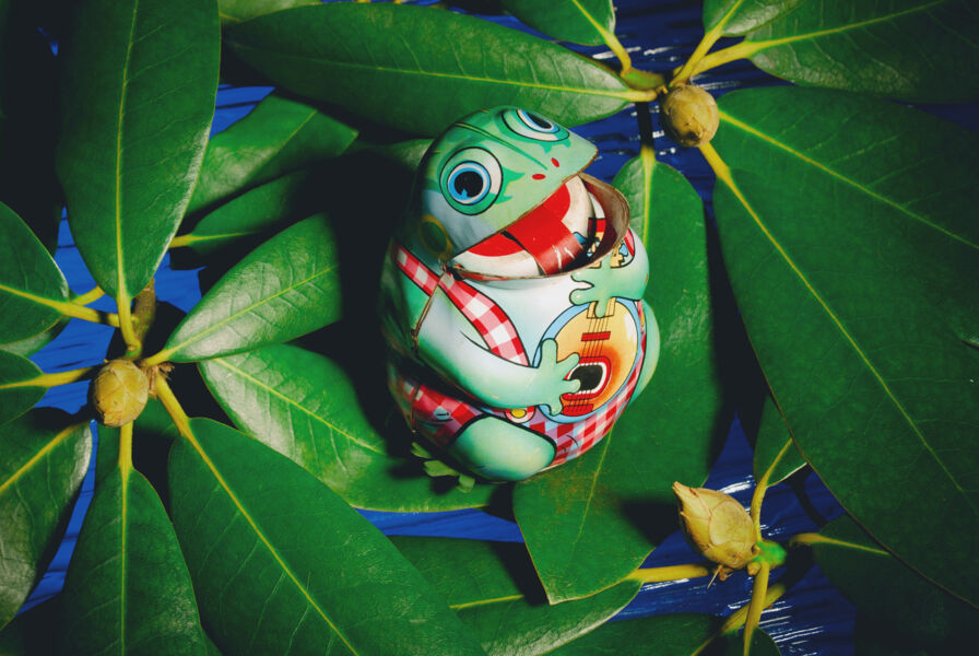 mechanische-tierwelt