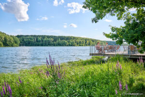 ABGESAGT - Seeführung rund um den Ellertshäuser See