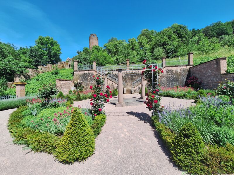 offene-stadtfuhrung-fuhrung-durch-den-ronkarzgarten