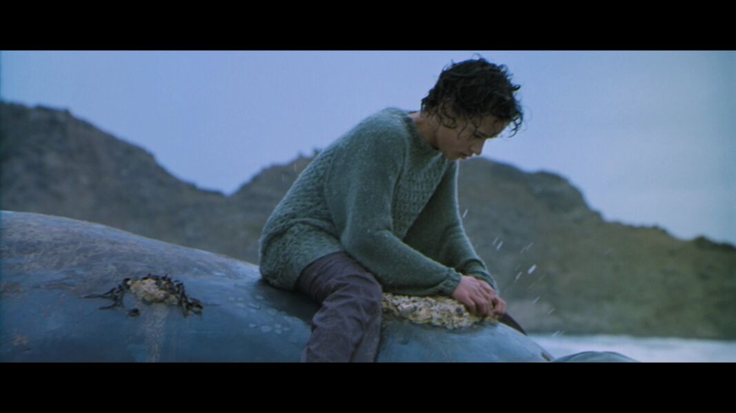 whale-rider-serie-coming-of-age-ii