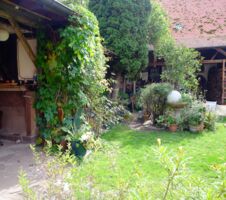 Frühstück im Grünen - Matinee mit Livemusik