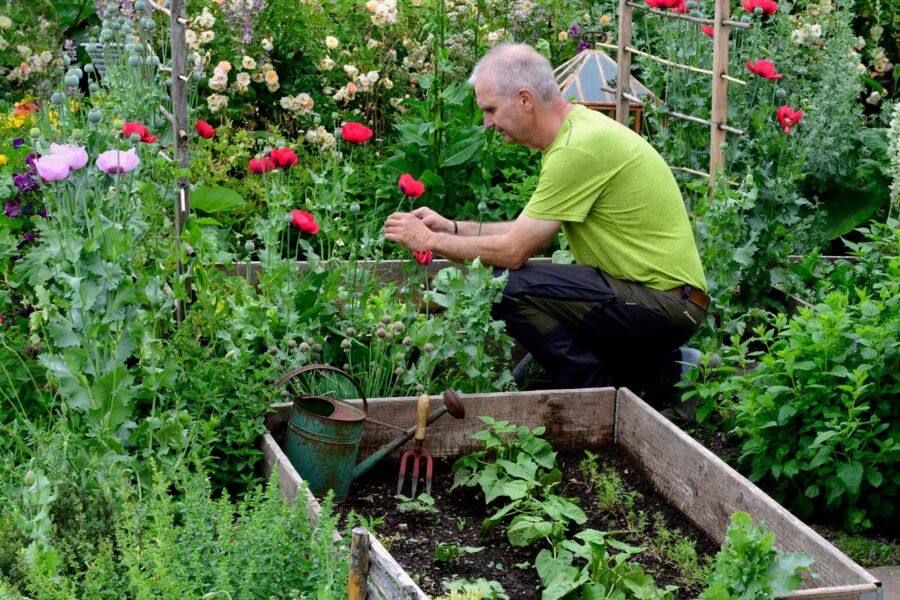wie-selbstversorgung-gelingen-kann