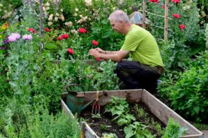 Wie Selbstversorgung gelingen kann