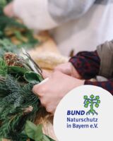 Herbst-Werkstatt: Mini-Weidenkränze & Vogelfreude - Workshop