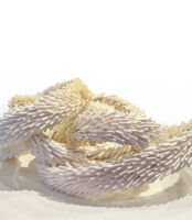 Finissage: Verena Friedrich CURRENTS OF SILENCE. Objekte/Bilder/Installation