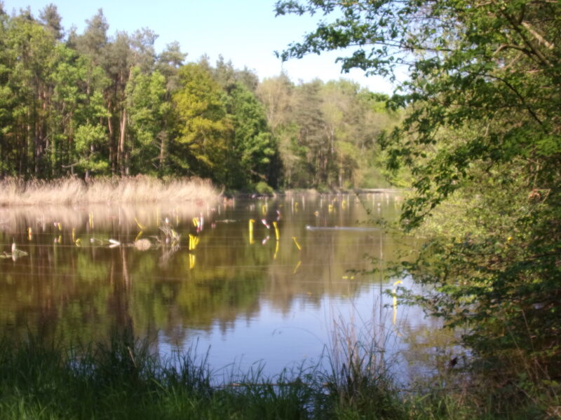 rund-um-uehlfeld-im-aischgrund-wo-die-stosche-klappern