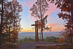 Führung am Naturfriedhof