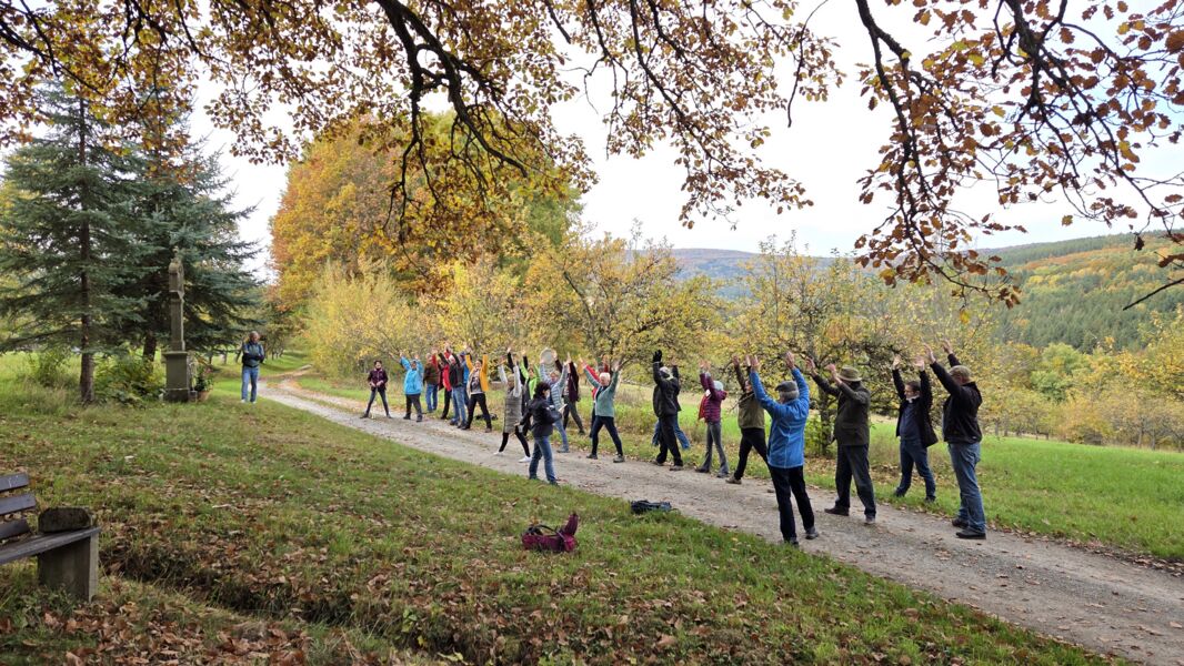 yoga-am-bildstock-gefuhrte-wanderung