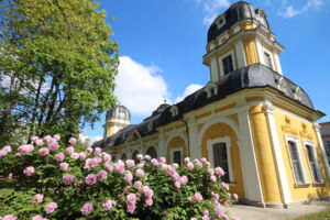 450 Jahre Fürsorge, Wein und Weitblick:  Die Stiftung Juliusspital im Spiegel der Geschichte