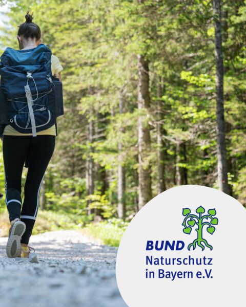 bismarckwaldchen-steinburg-schenkenturm-kulturokologische-wanderung