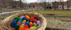 Mein Name ist Hase - Ostern im Museum