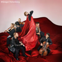 Wallis Bird + Spark - Visions of Venus