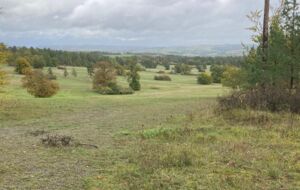 Natur trifft Digital: die realen und virtuellen Arbeitswelten eines Digitalrangers - Geführte Wanderung mit Digtialranger Hendrik Markert
