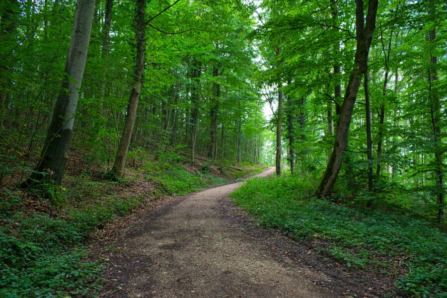 spaziergang-fur-trauernde