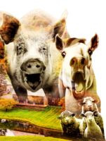 Farm der Tiere – Das Musical