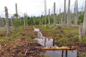 Kostenlose Online-Vortragsreihe des Biodiversitätszentrums Rhön