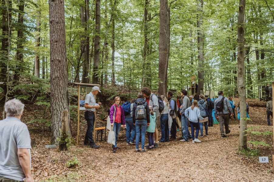 waldtag-2026-wald-und-wiesenschatze