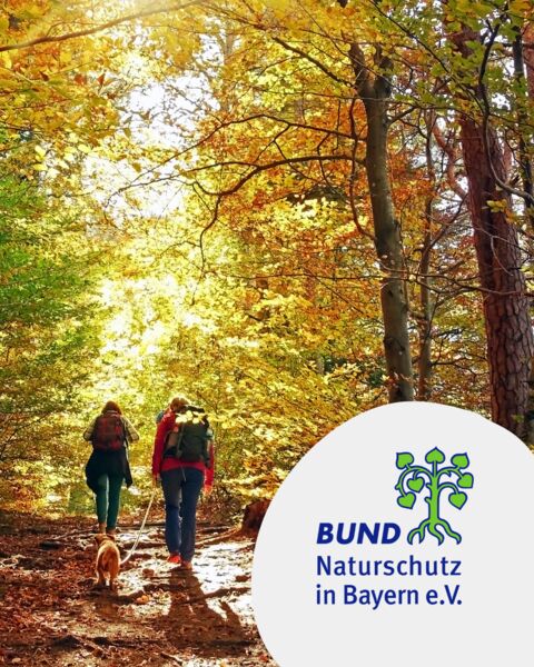 auf-der-traumrunde-markt-einersheim-kulturokologische-wanderung