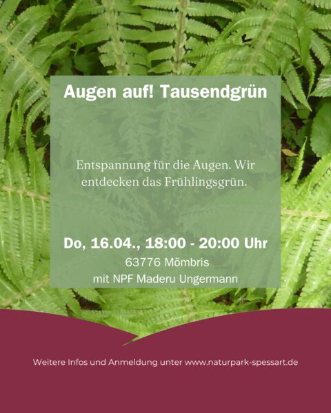 augen-auf-tausendgrun