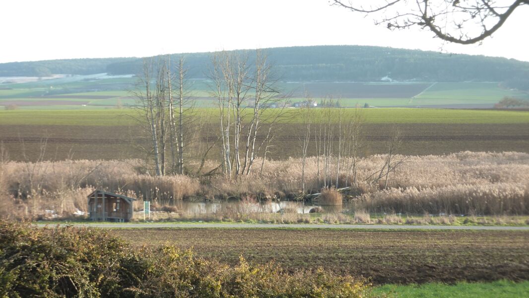 vogelstimmenwanderung-am-gspring