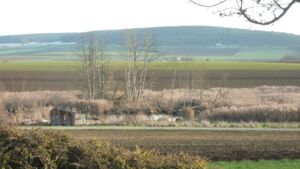 Vogelstimmenwanderung am G'spring