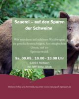 Sauerei – auf den Spuren der Schweine