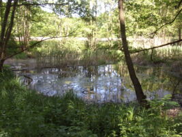 Traumrunde Rödelsee