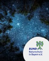 Fledermäuse!  - Für Familien mit Kindern ab 6 Jahren - Zukunftswoche Mainfranken