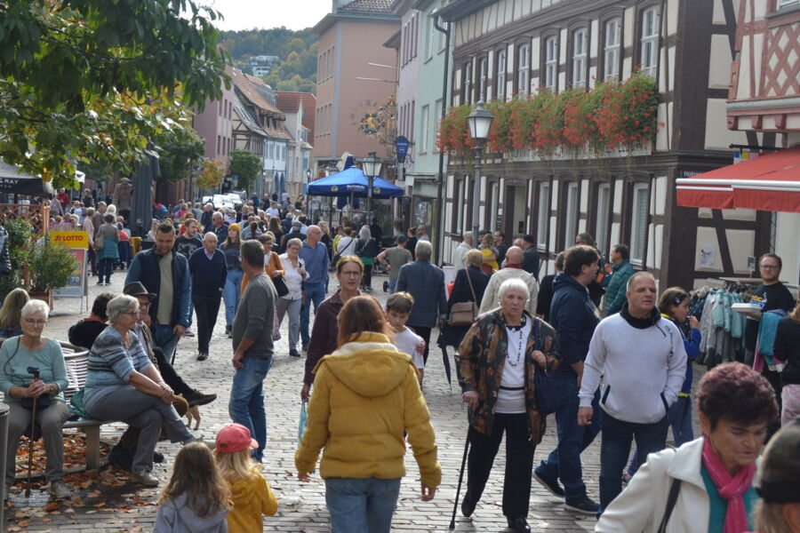 martinimarkt-und-verkaufsoffener-sonntag