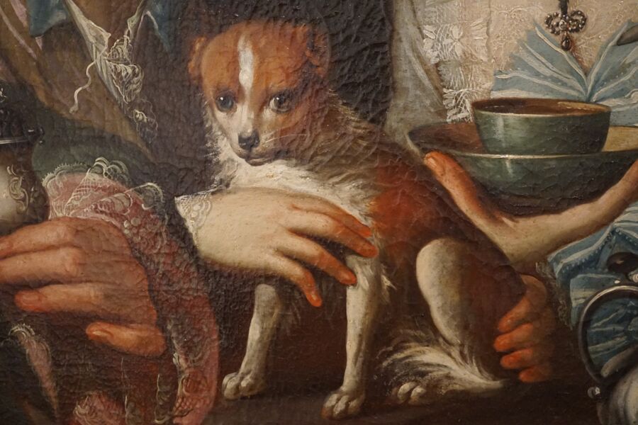 ferien-familienfuhrung-auf-tiersafari