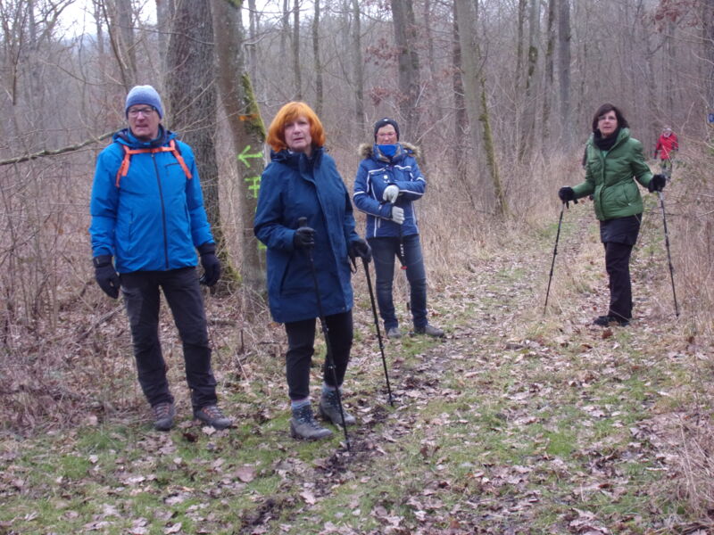 gefuhrte-wanderung-rund-um-breitbach