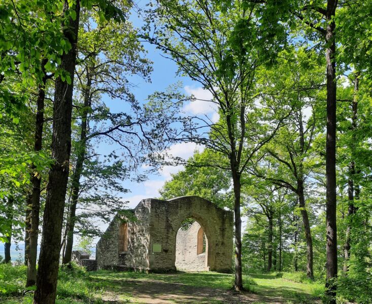 yoga-wein-wandern-im-weinparadies