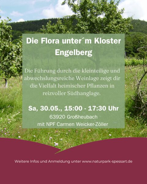 die-flora-unterm-kloster-engelberg