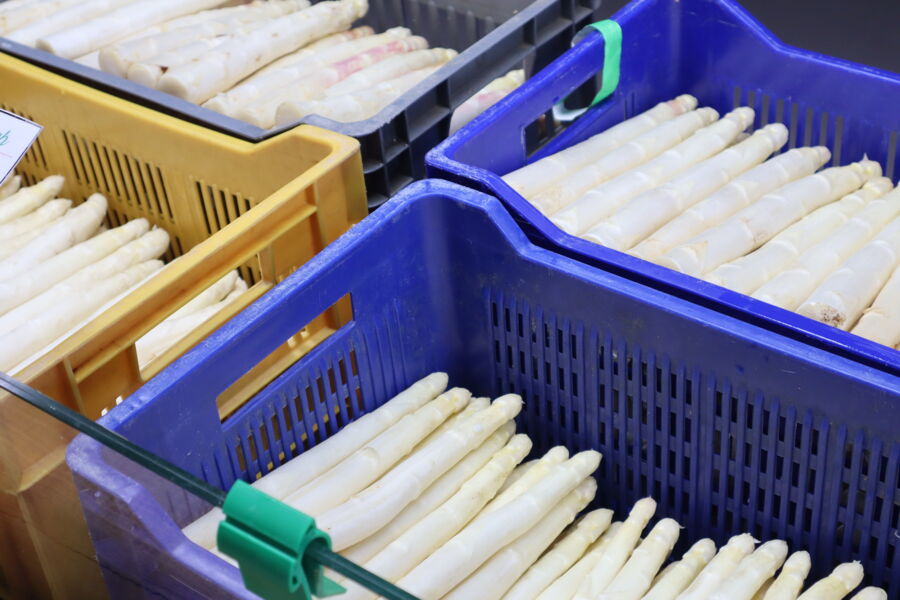 35-unter-und-oberfrankischer-spargeltag