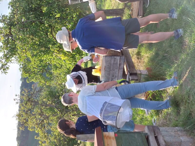 schnupperkurs-imkern-achtteiliger-kurs-fur-neugierige