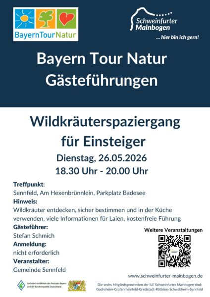 wildkrauterspaziergang-fur-einsteiger-im-schweinfurter-mainbogen