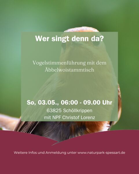wer-singt-denn-da