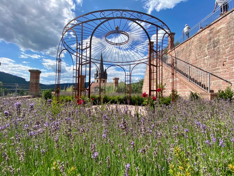 rendezvous-im-garten-fuhrung-durch-den-ronkarzgarten