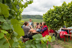 Casteller Weinwandertag