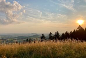 AUSGEBUCHT! Rotmilanführung zum Gipfel der Platzer Kuppe - Geführte Wanderung mit Ranger Leonard Helfrich