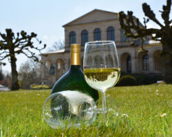 Sommer-Weinfest des Weinguts Hümmler im Staatsbad Bad Brückenau